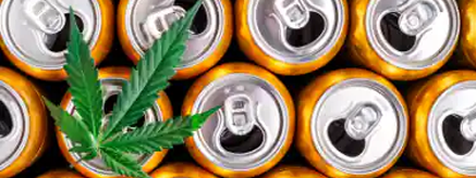La chimie du cannabis : un mélange de bourgeons et de boissons
