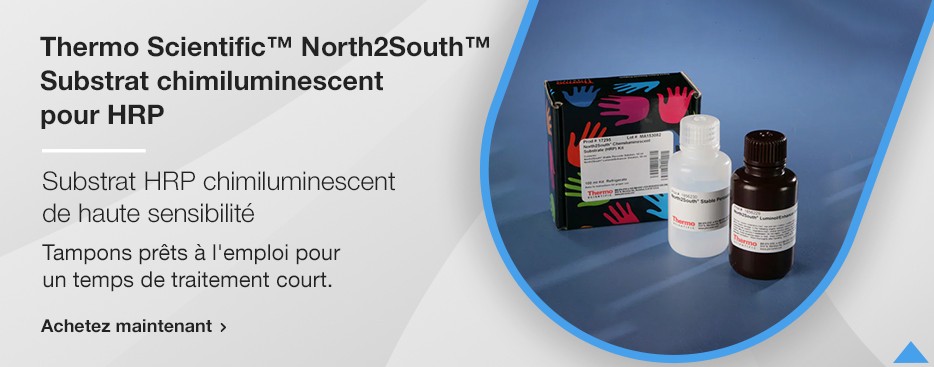 Thermo Scientific™ North2South™ Substrat chimiluminescent pour HRP