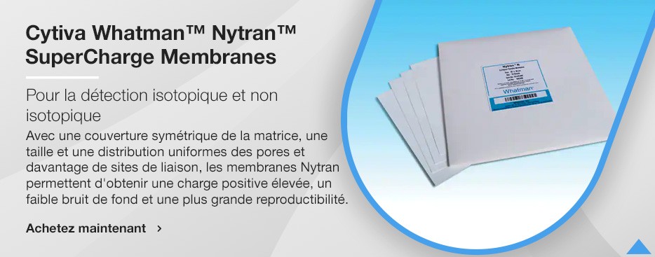 Cytiva Whatman™ Nytran™ SuperCharge Membranes