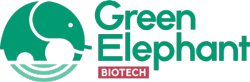 Logo Green Elephant