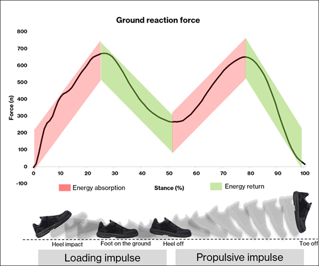 Figure 1. Courbe typique de la force de réaction verticale du sol à la marche, de l'attaque du talon à la sortie des orteils