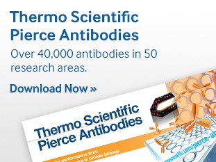Thermo Scientific Pierce Antibodis